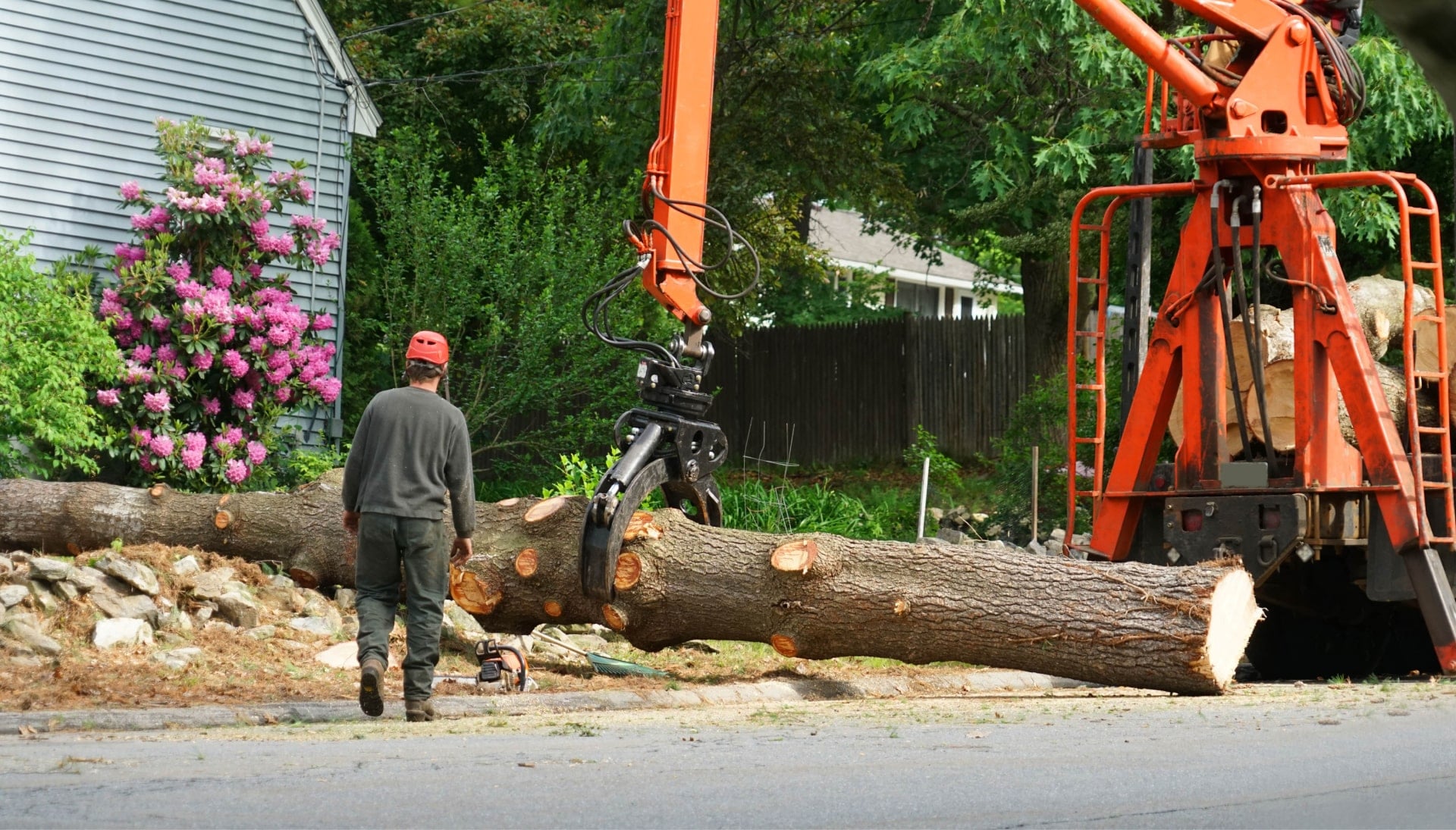Local partner for Tree removal services in Plano