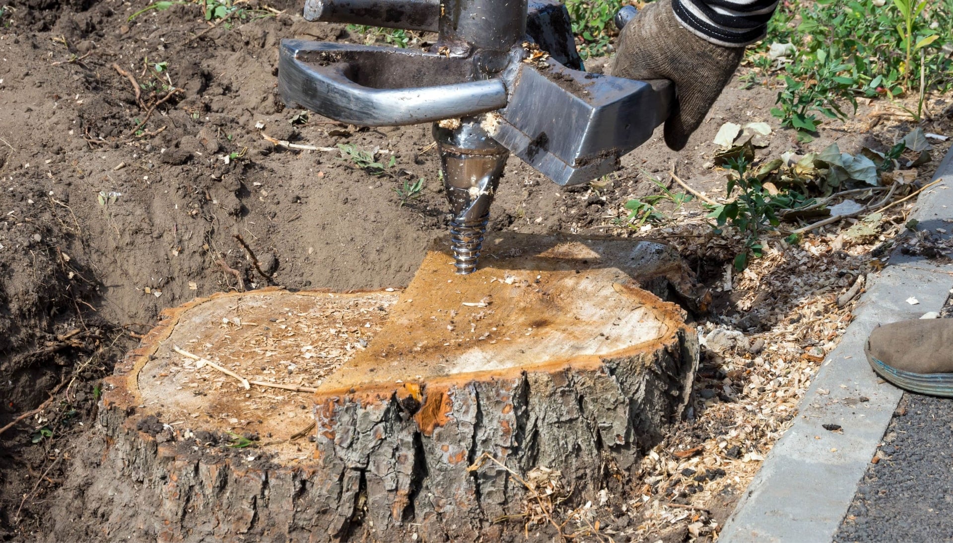 Plano Tree stump removal